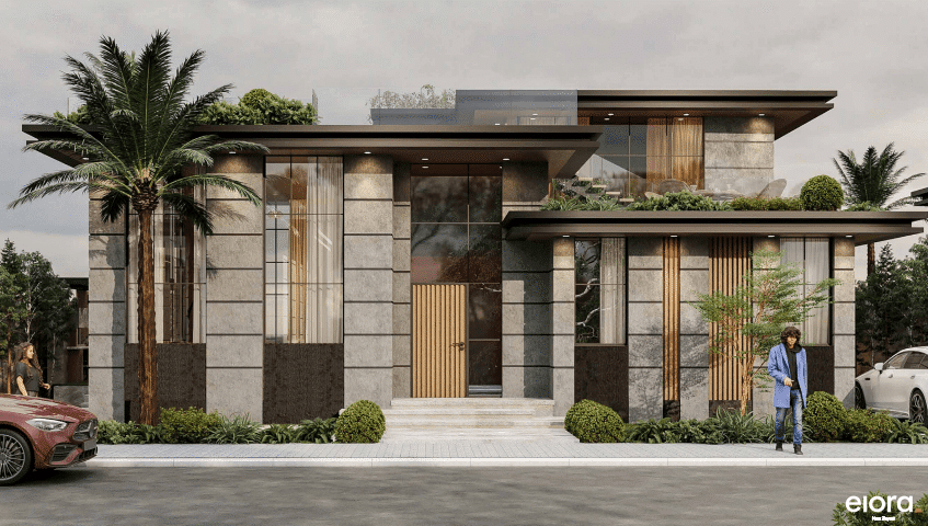 Elora New Zayed